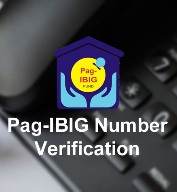 pag-ibig-number-verification